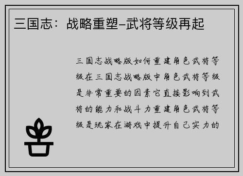 三国志：战略重塑-武将等级再起